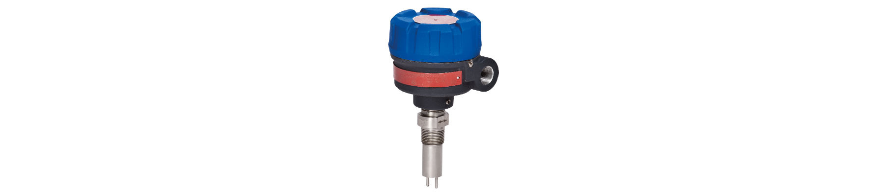 Magnetrol <span class="caps">THERMATEL</span> <span class="caps">TD1</span> and <span class="caps">TD22RED3</span>
